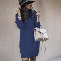 Mid-Length Turtleneck Long Sleeve Knit Sweater in 6 Colors S-3XL