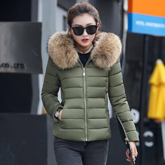 Quilted Down Jacket with Fur-Lined Hood in 4 Colors M-4XL