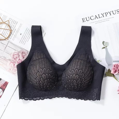Lace Bra in 6 Colors M-XXL