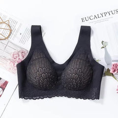 Lace Bra in 6 Colors M-XXL