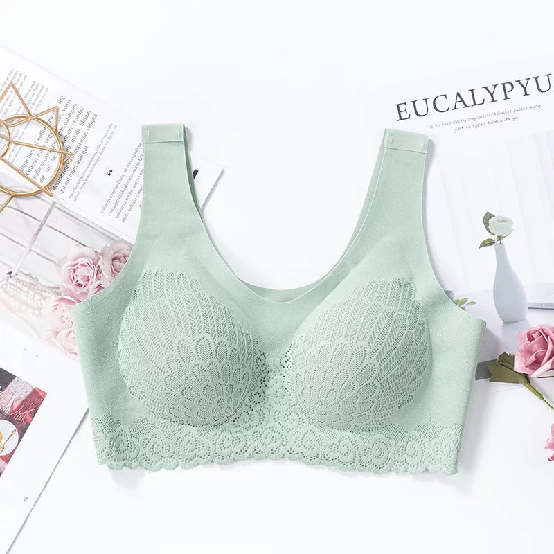 Lace Bra in 6 Colors M-XXL