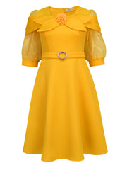 Bow Tie Lantern Sleeve Party A-Line Dress