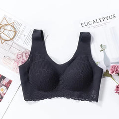 Lace Bra in 6 Colors M-XXL