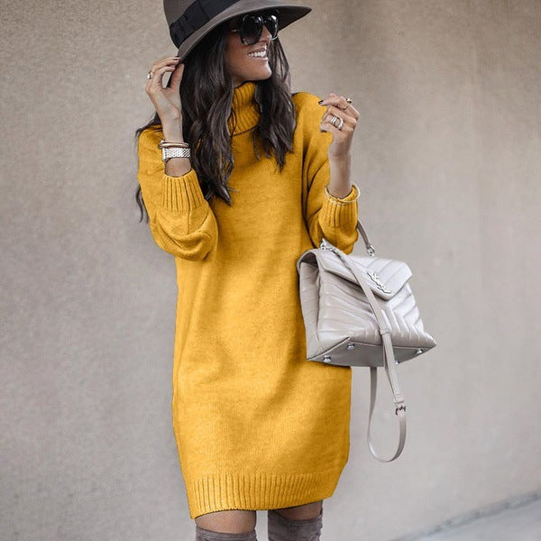 Mid-Length Turtleneck Long Sleeve Knit Sweater in 6 Colors S-3XL