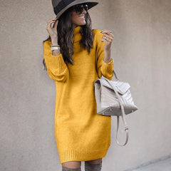 Mid-Length Turtleneck Long Sleeve Knit Sweater in 6 Colors S-3XL