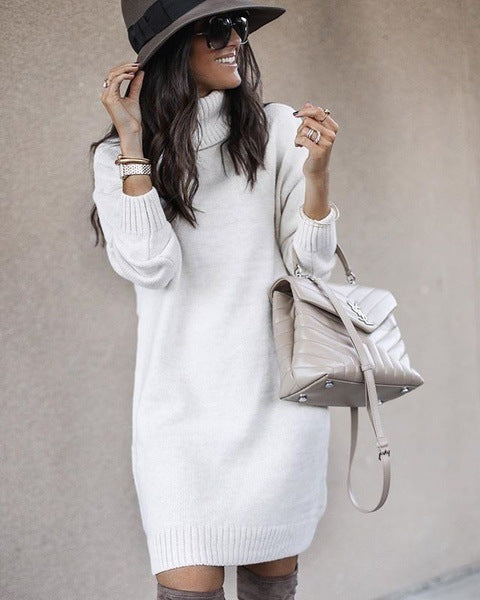 Mid-Length Turtleneck Long Sleeve Knit Sweater in 6 Colors S-3XL