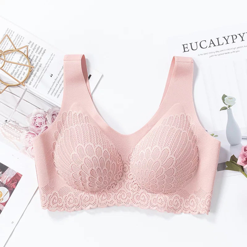 Lace Bra in 6 Colors M-XXL