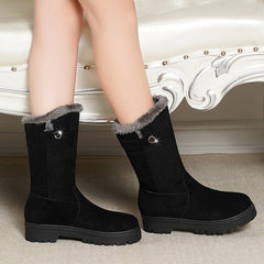 Suede Fur-Lined Boots in 2 Colors