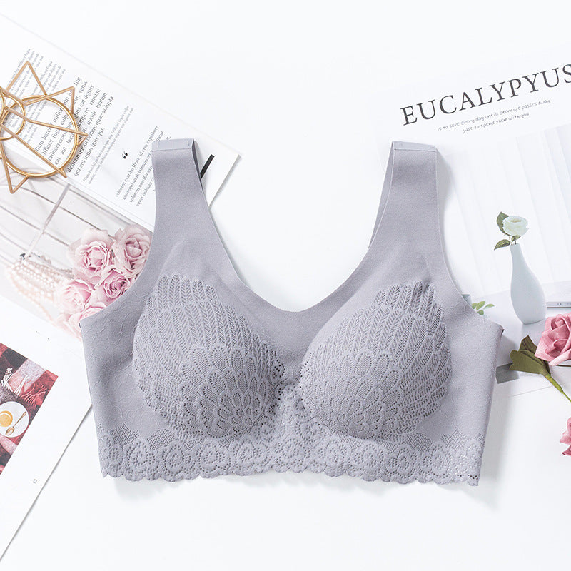 Lace Bra in 6 Colors M-XXL