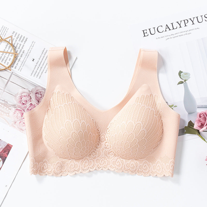 Lace Bra in 6 Colors M-XXL
