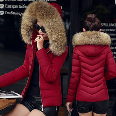 Quilted Down Jacket with Fur-Lined Hood in 4 Colors M-4XL