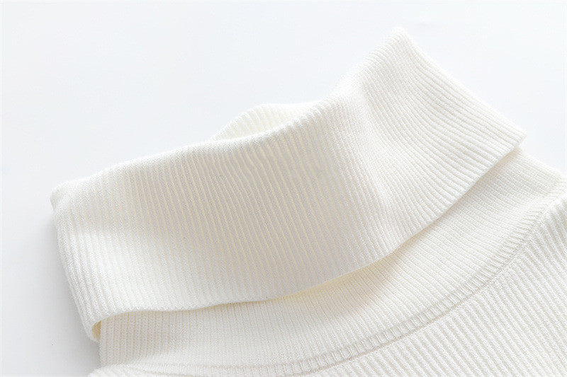 Solid Colour Turtleneck Sweater