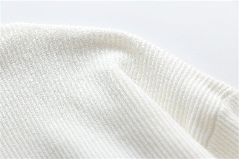 Solid Colour Turtleneck Sweater