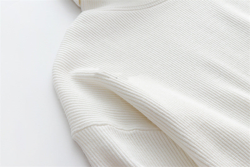 Solid Colour Turtleneck Sweater