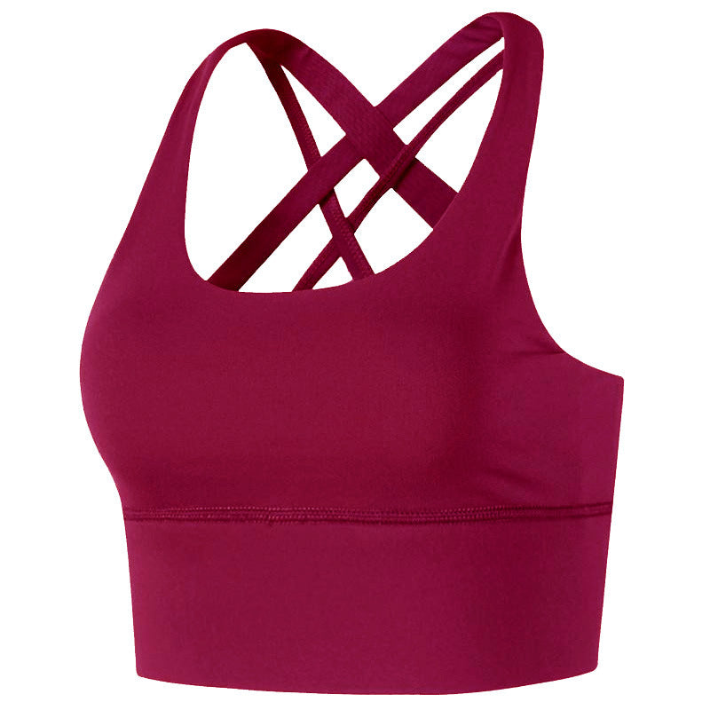 Push-Up Sports Bra in 6 Colors Sizes 2-14