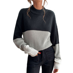 Crew Neck Knit Colorblock Sweater S-L