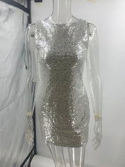 Backless and Sleeveless Fitted Silver Sequin Dress